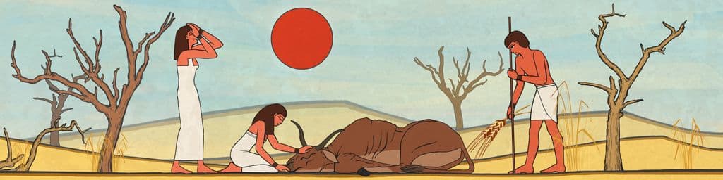 Siccità nel deserto